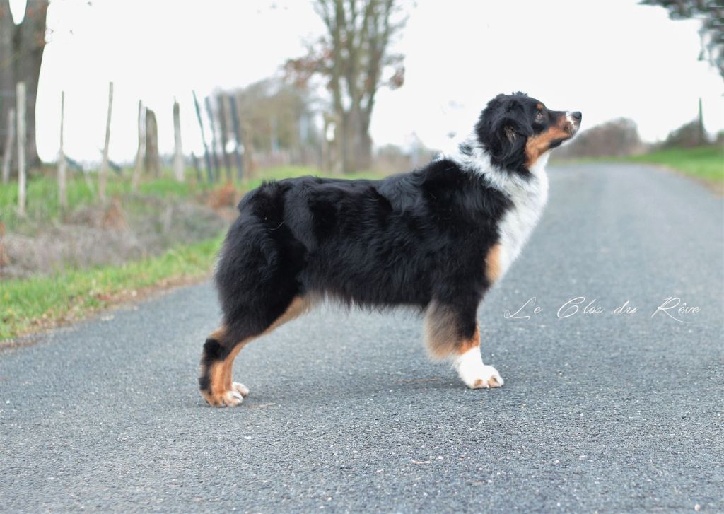 Move ya booty de la Féerie de l'Hermine